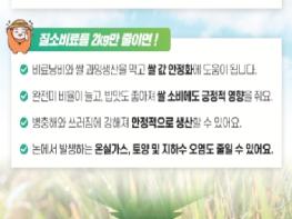 세종시, '벼 질소비료 시비량 줄여 쌀 적정 생산해요' 기사 이미지