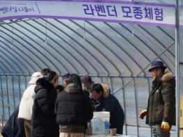 공주시, ‘라벤더길 나들이 떠나요~’ 기사 이미지