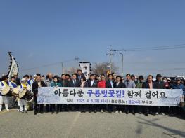 부여군 아름다운 구룡 벚꽃길! 함께 걸어요 기사 이미지